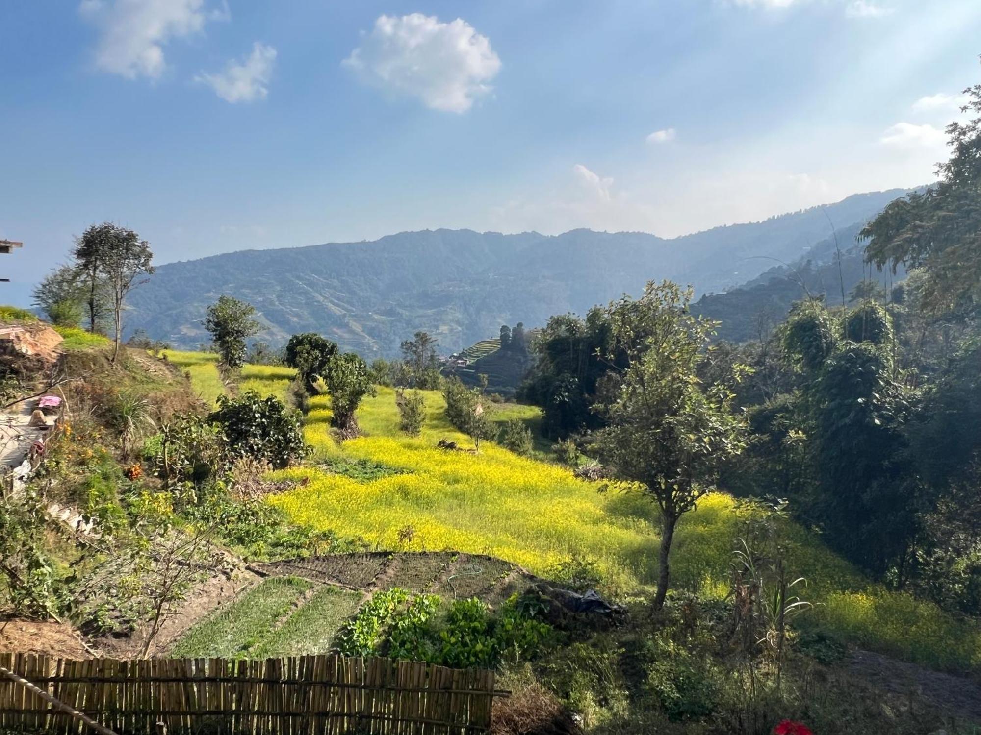 Hotel Village View ناغاركوت المظهر الخارجي الصورة